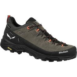 Salewa Men's Alp Trainer 2 GTX Shoe